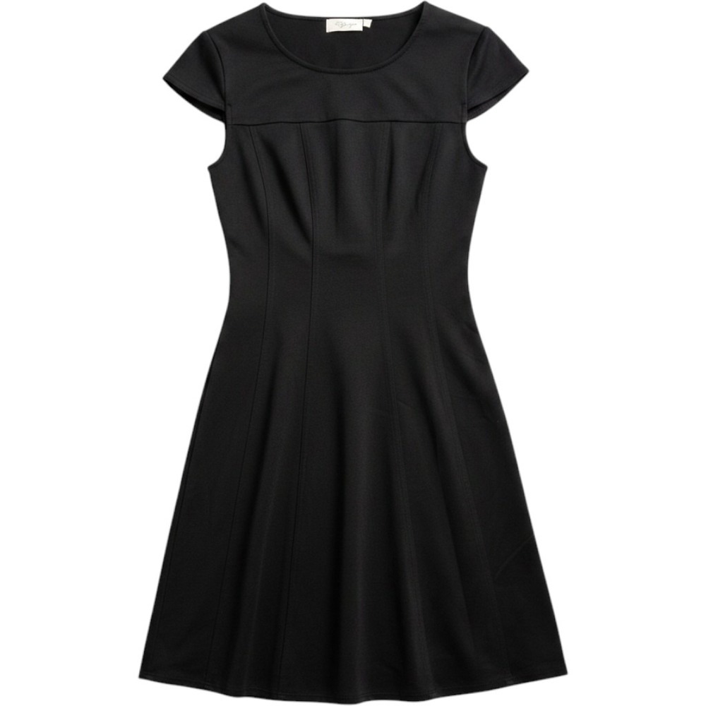 RD Style Rhiannon Dress Black Fit and Flare Cap Sleeve Mini 12778-578-A Womens S